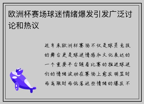 欧洲杯赛场球迷情绪爆发引发广泛讨论和热议